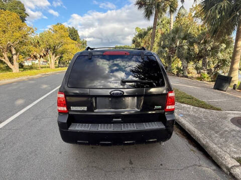 2011 Ford Escape XLT