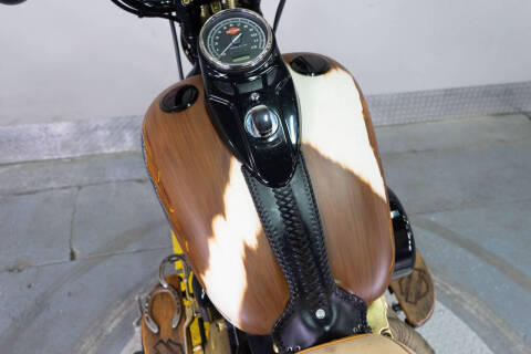 2011 Harley-Davidson Softail