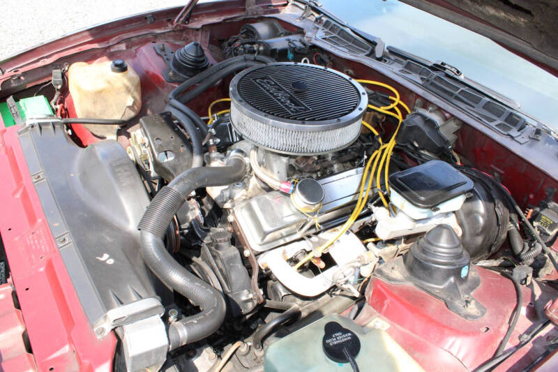 1985 Pontiac Firebird Trans Am