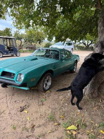 1975 Pontiac Firebird