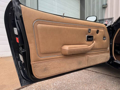 1981 Pontiac Firebird Trans Am