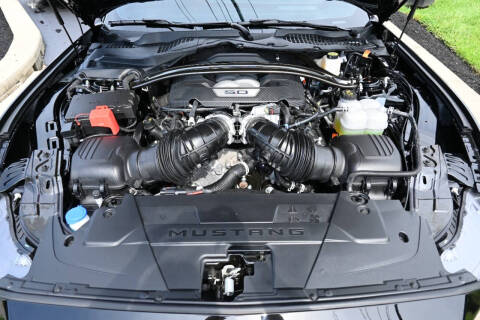 2024 Ford Mustang Dark Horse