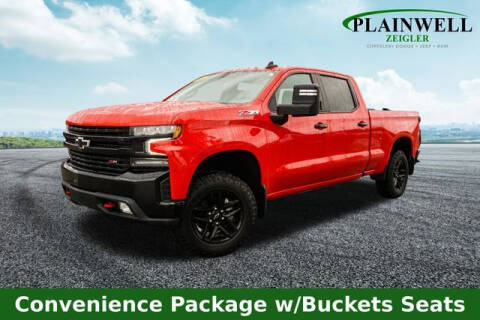 2021 Chevrolet Silverado 1500 for sale at Zeigler Ford of Plainwell - Jeff Bishop in Plainwell MI