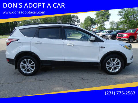 2017 Ford Escape for sale at DON'S ADOPT A CAR in Cadillac MI