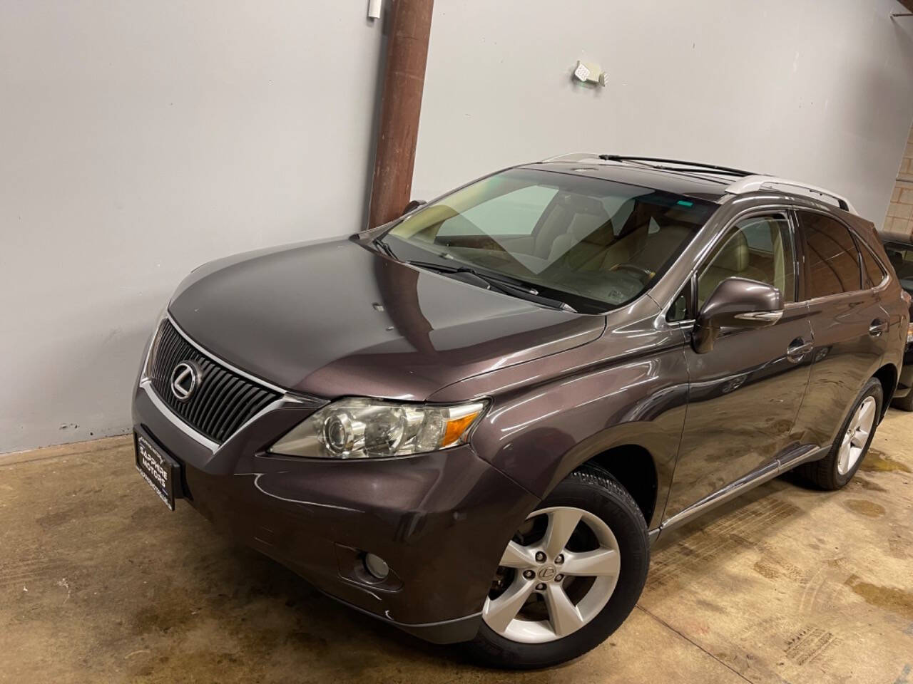 2010 Lexus RX 350 for sale at Sapphire Motors in Gurnee, IL