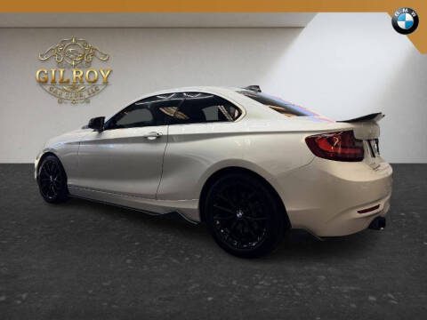 2014 BMW 2 Series 228i