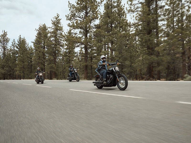 2020 Harley-Davidson Street Bob