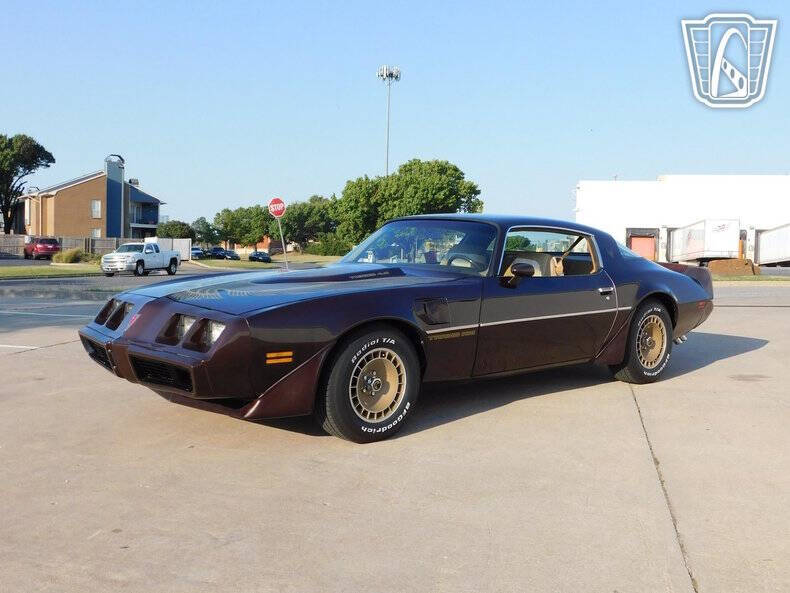 1981 Pontiac Firebird Trans Am
