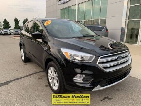 2019 Ford Escape for sale at Williams Brothers Pre-Owned Monroe in Monroe MI