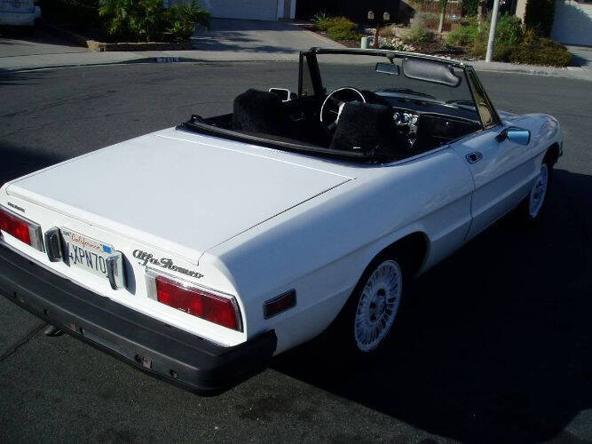 1977 Alfa Romeo Spider