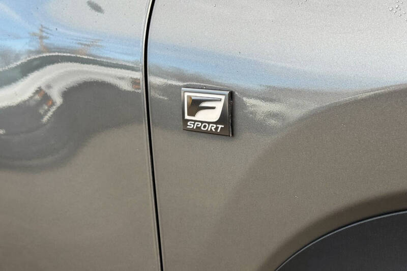 2020 Lexus NX 300 F SPORT