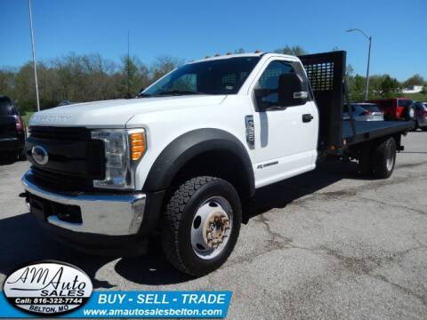 2017 Ford F-550 Super Duty for sale at A M Auto Sales in Belton MO