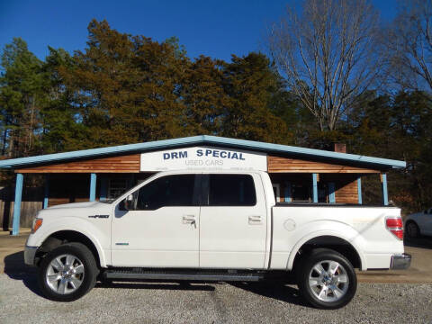 2011 Ford F-150 for sale at DRM Special Used Cars in Starkville MS