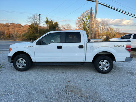 2014 Ford F-150 for sale at V Automotive in Harrison AR