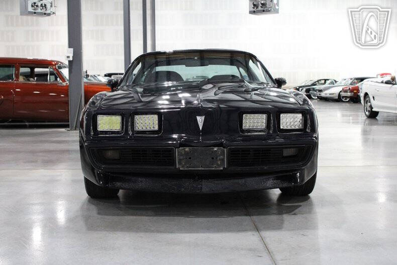 1981 Pontiac Firebird Trans Am