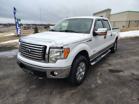 2011 Ford F-150 for sale at Hutchinson Auto Sales in Hutchinson MN