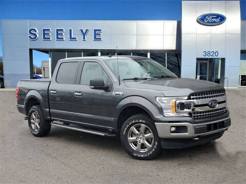2020 Ford F-150 for sale at Seelye Truck Center of Paw Paw in Paw Paw MI