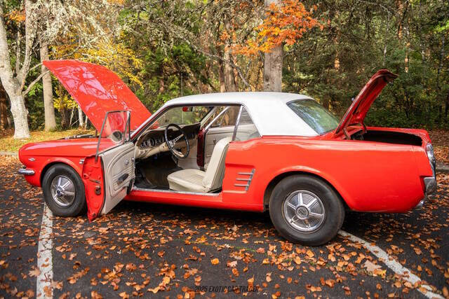 1966 Ford Mustang