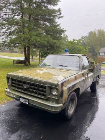 1977 Chevrolet C/K 10 Series for sale at Classic Car Deals in Cadillac MI