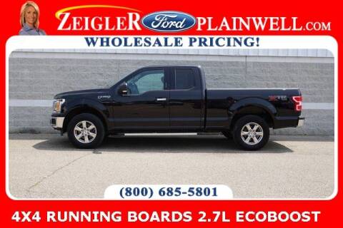 2020 Ford F-150 for sale at Zeigler Ford of Plainwell- Jeff Bishop - Zeigler Ford of Lowell in Lowell MI