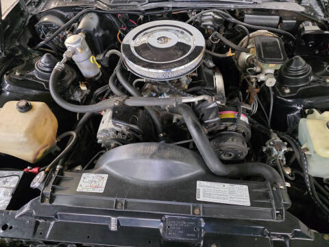 1982 Pontiac Firebird Trans Am