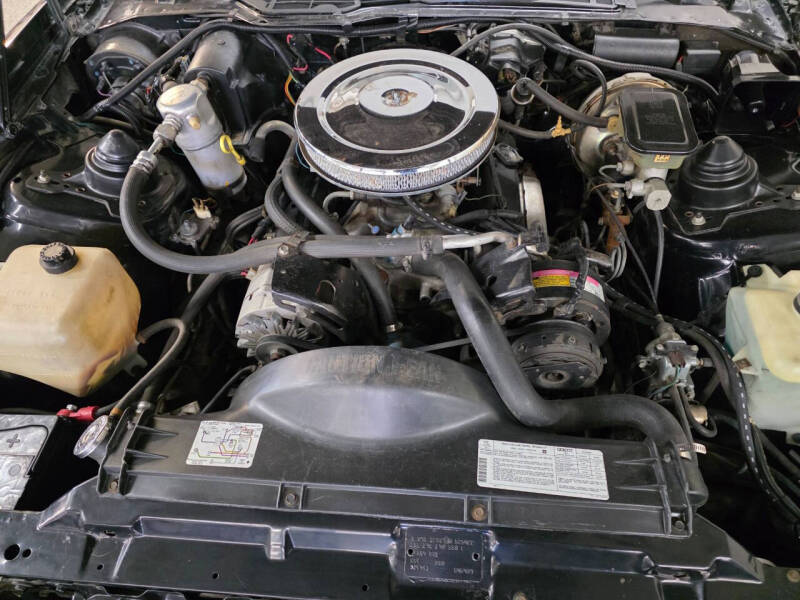1982 Pontiac Firebird Trans Am