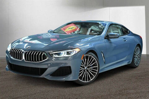 2020 BMW 8 Series for sale at Auto Sport Group in Boca Raton FL