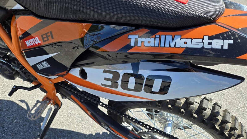 2024 TrailMaster TM38EX-300