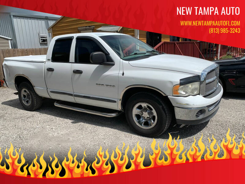 2002 Dodge Ram Pickup 1500 for sale at New Tampa Auto in Tampa FL