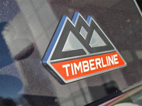 2022 Ford Expedition Timberline