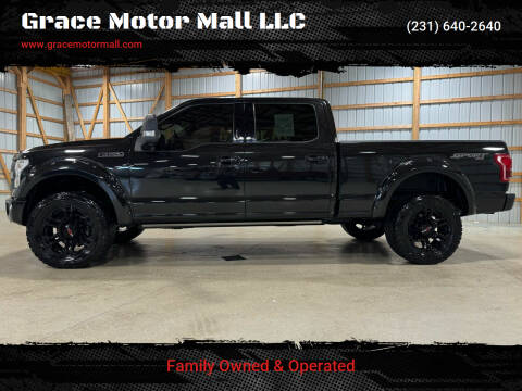2015 Ford F-150 for sale at Grace Motor Mall LLC in Traverse City MI