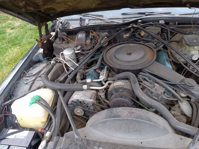 1981 Cadillac Fleetwood