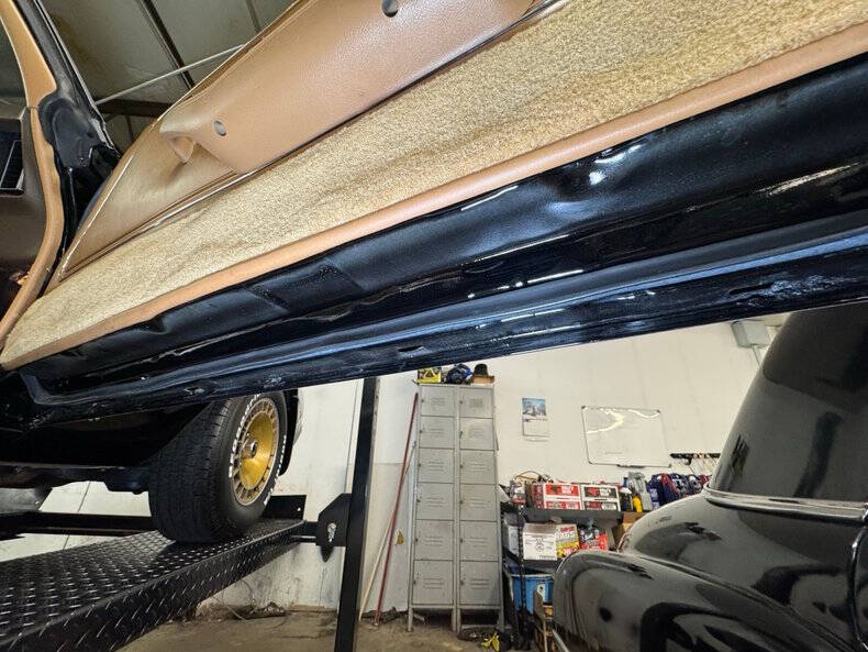 1981 Pontiac Firebird Trans Am