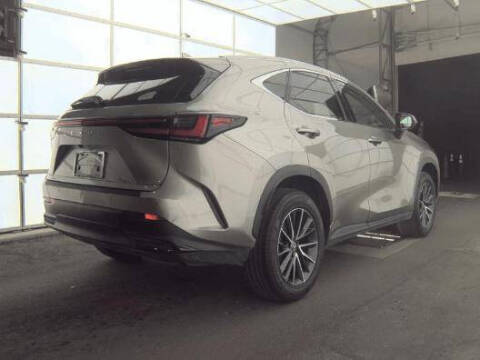 2024 Lexus NX 250 Premium