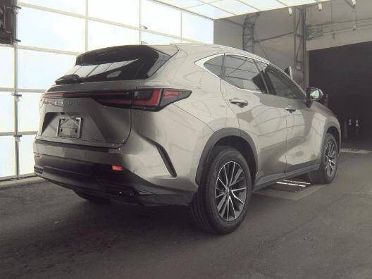 2024 Lexus NX 250 Premium