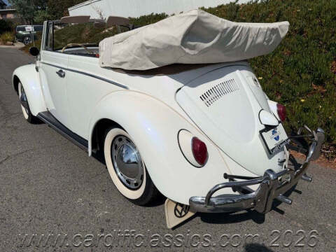 1962 Volkswagen Beetle