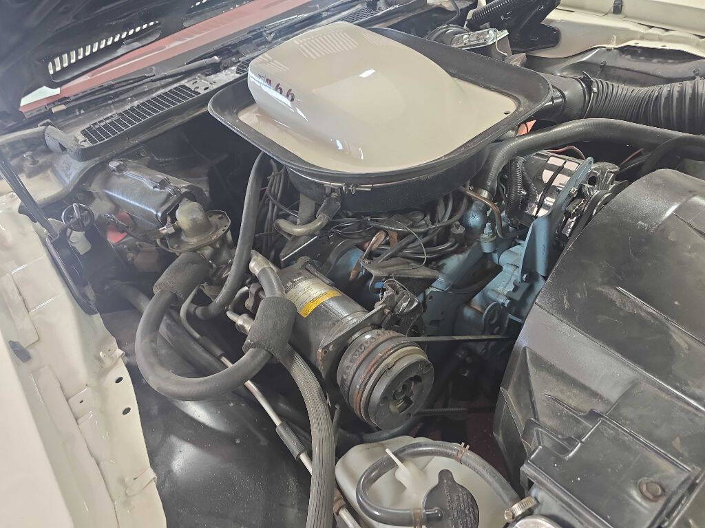 1976 Pontiac Trans Am 55