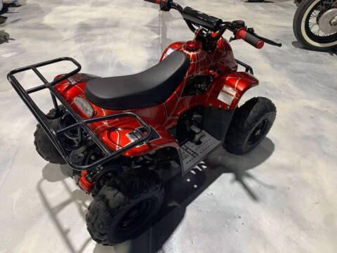 2019 Coolster Mountopz 110