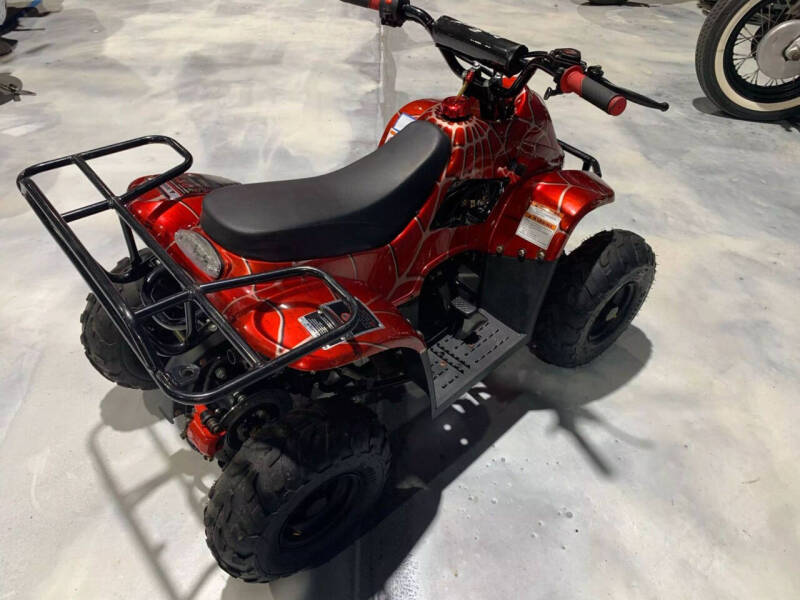 2019 Coolster Mountopz 110