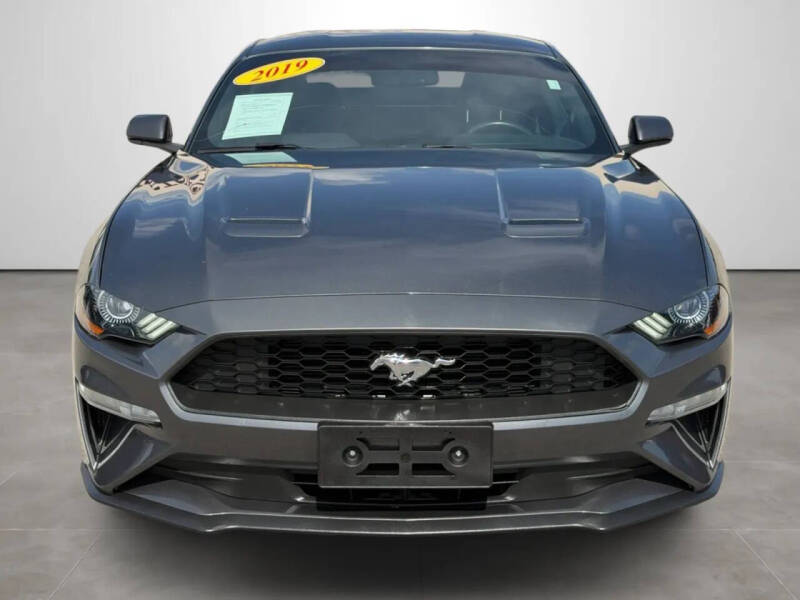 2019 Ford Mustang