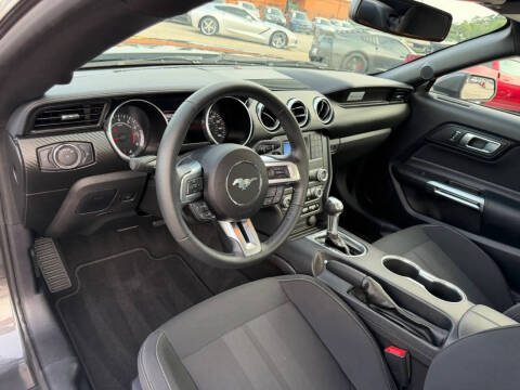 2019 Ford Mustang