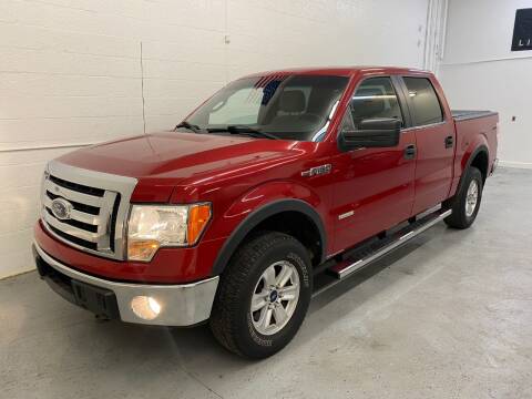 2012 Ford F-150 for sale at X Auto LLC in Pinellas Park FL
