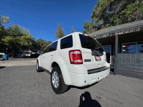 2011 Ford Escape Limited
