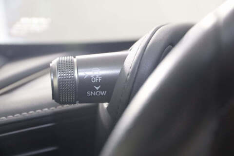 2024 Lexus LC 500 Convertible