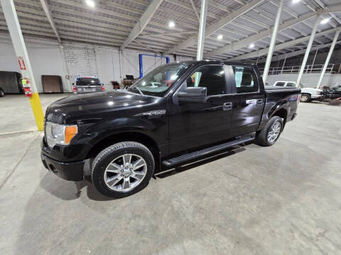 2014 Ford F-150 for sale at De Anda Auto Sales in Storm Lake IA