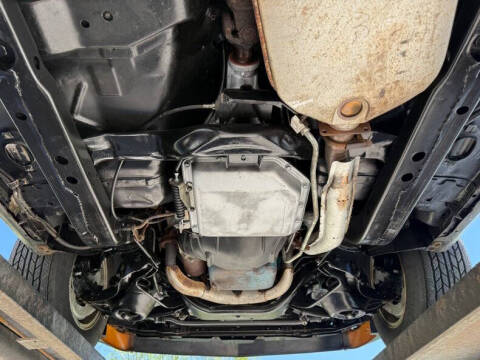 1981 Pontiac Firebird Trans Am