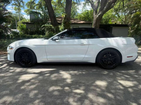 2019 Ford Mustang
