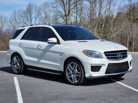 2014 Mercedes-Benz M-Class for sale at Rare Exotic Vehicles in Asheville NC
