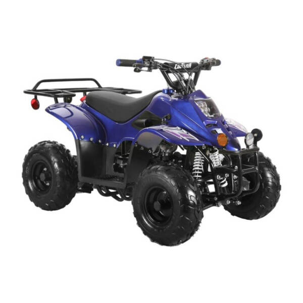 2025 Coolster 110cc 3050c