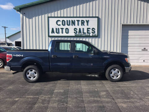 2013 Ford F-150 for sale at COUNTRY AUTO SALES LLC in Greenville OH